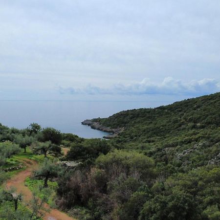 Velonas Beach Mpakas Country Cottage Prosilio  المظهر الخارجي الصورة