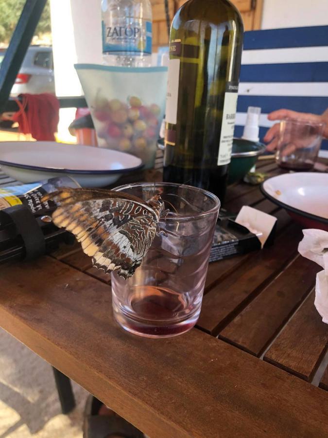 Velonas Beach Mpakas Country Cottage Prosilio  المظهر الخارجي الصورة